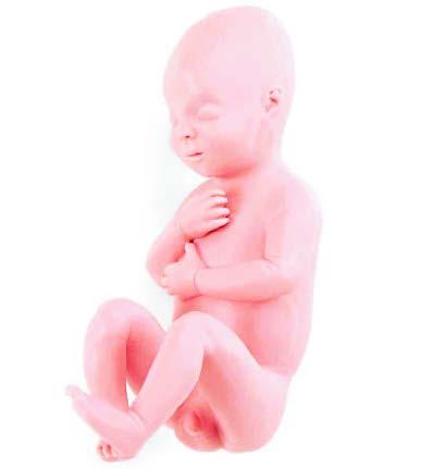 01-82-277 Těhotenství, porod - ostatní: OS120-0182