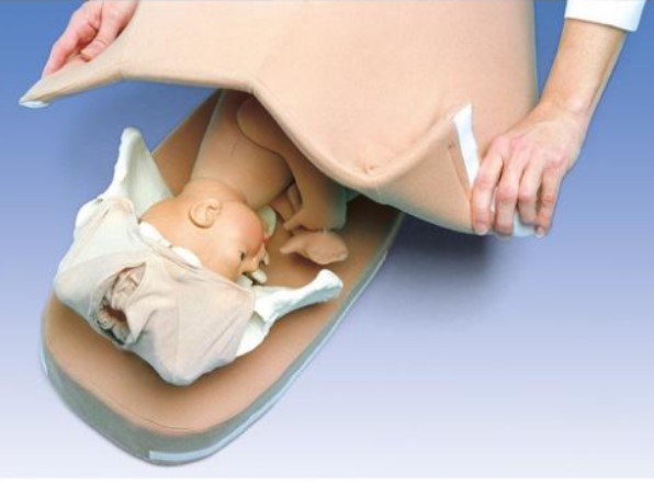 100557 Těhotenství, porod : Palpační model pro Leopoldův manévr