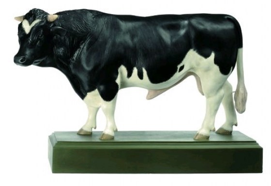 ZB150-0125