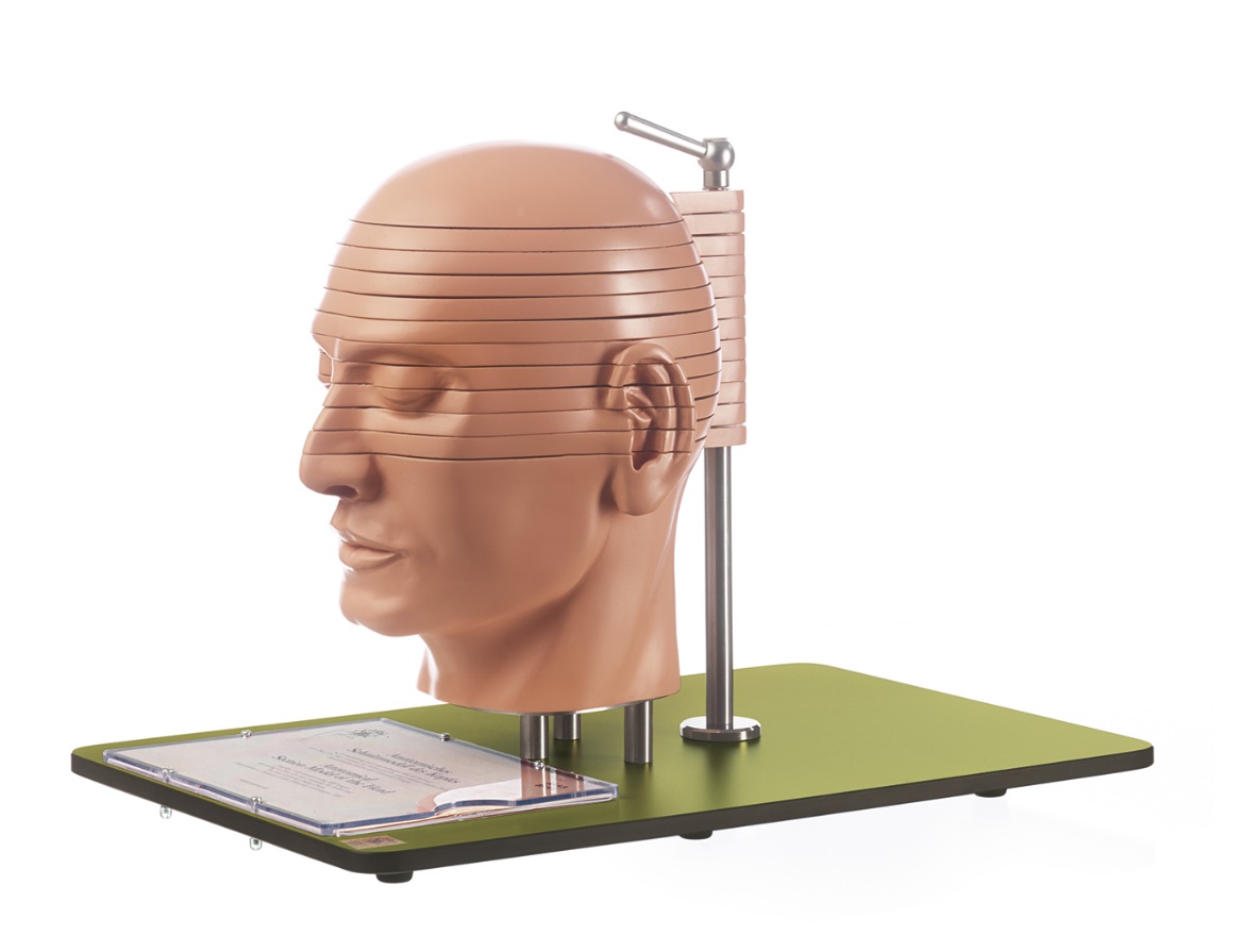 BS5-5-2 Hlava - Somso Modelle: Anatomický sekční model hlavy (kombinace s odpovídajícími MR snímky), 10 dílů