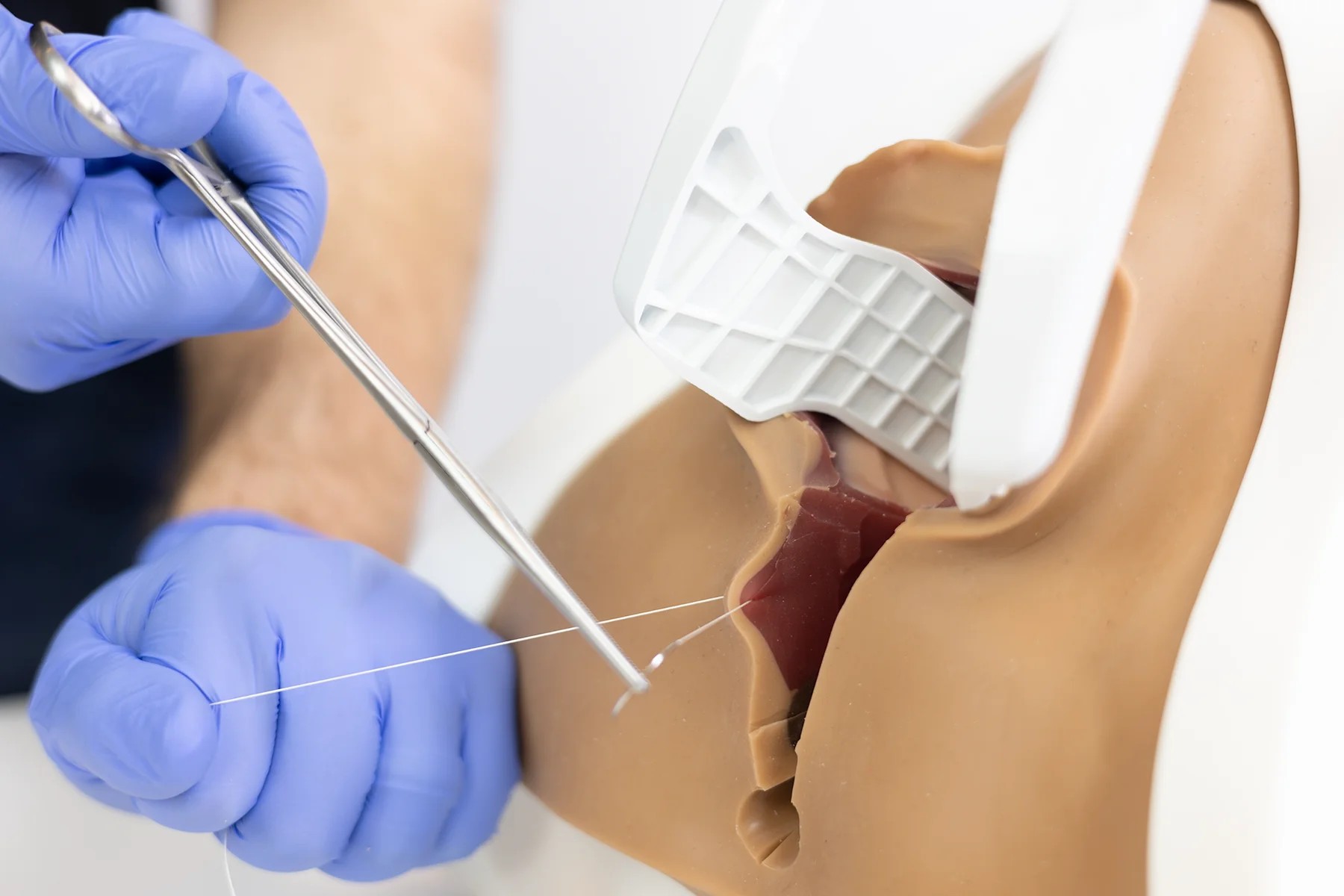 BezNazvu2831 Chirurgie - podložky, návleky: Trenažér na opravu perinea