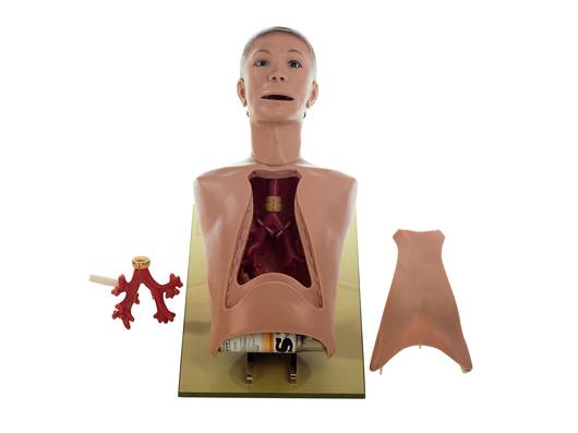 OS150-0072 Zajištění dýchacích cest dospělého: Bronchoskopický model Sick Boy