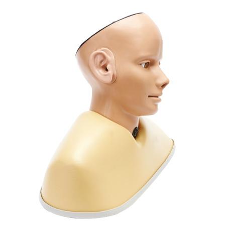 OS195-007097 Ucho: Digitální diagnostický model ucha