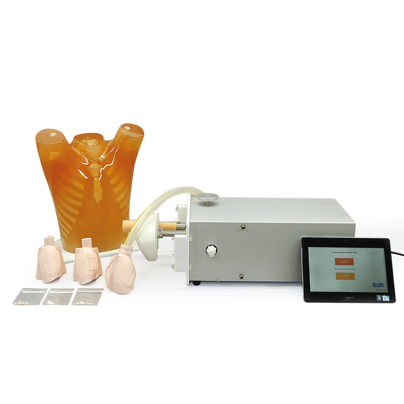R16918-1 Ultrazvukové, CT modely: Dynamic Heart and Lung Phantom
