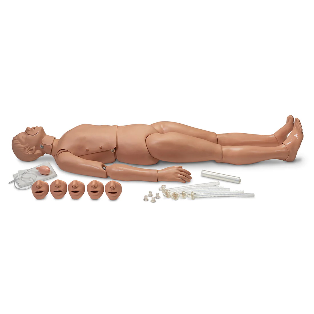 RB120-0383 Modely dospělého: Celotělový CPR/Trauma model