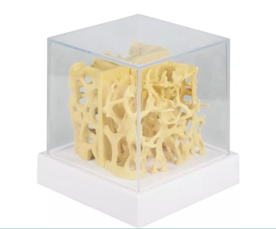 4062