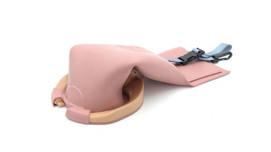 80311_uterus_for_avb_prompt