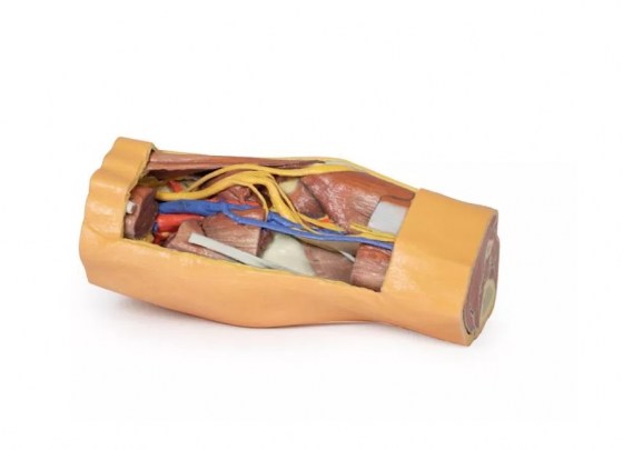 MP1820c