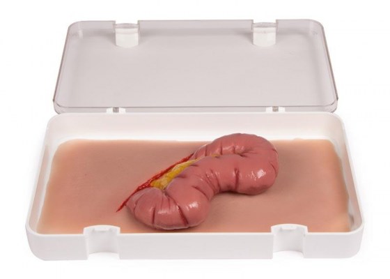 NW109_33jYIOsM1MFpPN