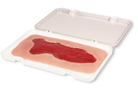 PW003B_1LGJTApFGVyaIn