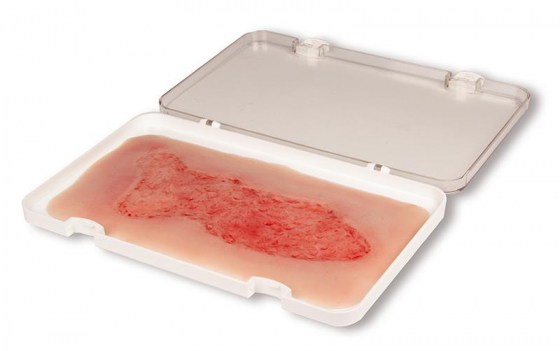 PW003C_1_1JVKE39UPhcvdk