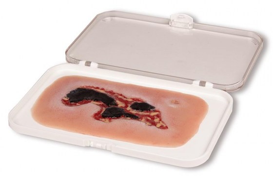 PW004A_1DJNGCKGeHDxAh