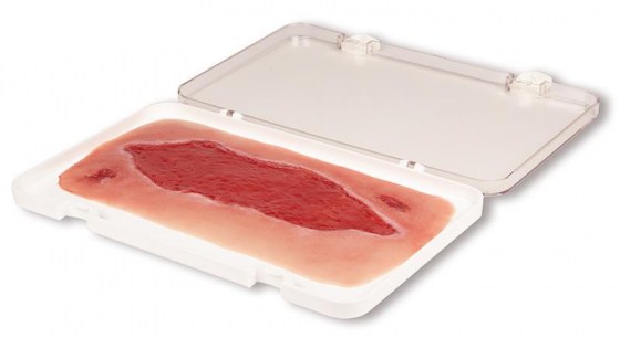 PW005B_11_19TgFas3n1BTSq