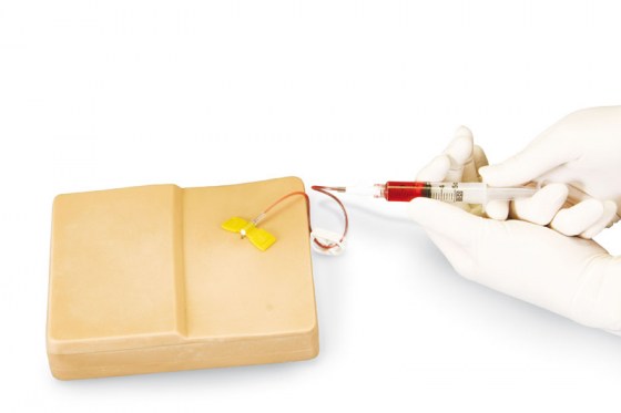 R18804_19UvJKDJK4HZoI