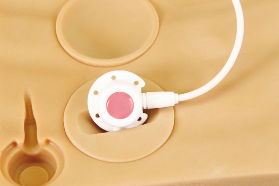 R18804_2KdOz6aLQ0us66