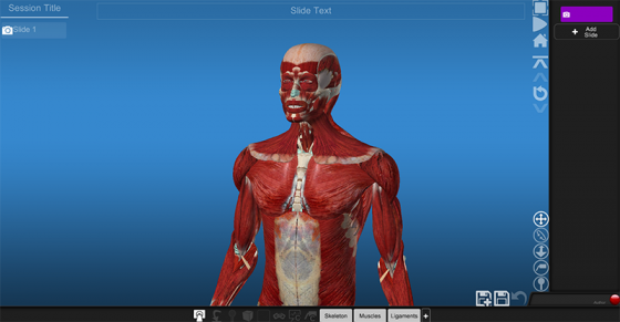 VIVED-anatomydesktop38