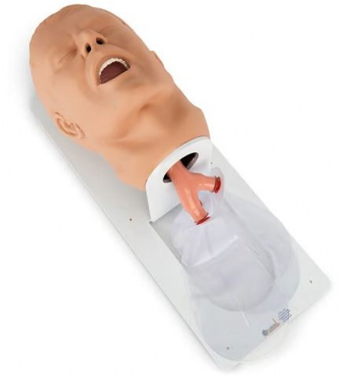 V&yacute;střižek12589