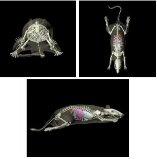 V&yacute;střižek16082