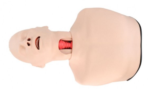 V&yacute;střižek248