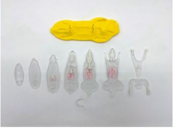 V&yacute;střižek249