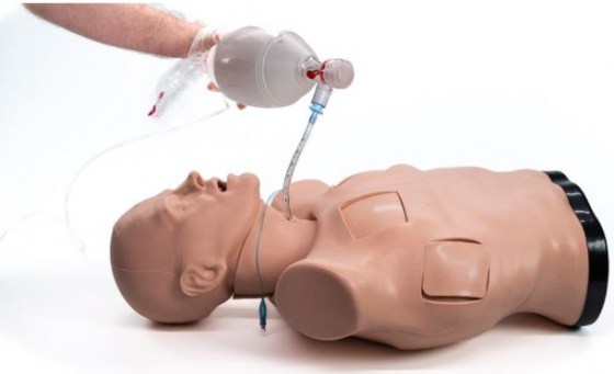 V&yacute;střižek562