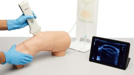 knee-70103-3