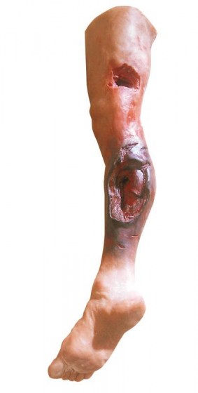 r500201_1E29cv5S5Uu3Oc